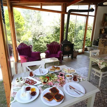 Hotel Morisi *